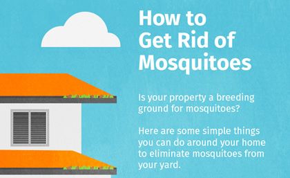 How To Get Rid Of Mosquitoes | Mosquito MagnetÃ‚Â® - For more information ...