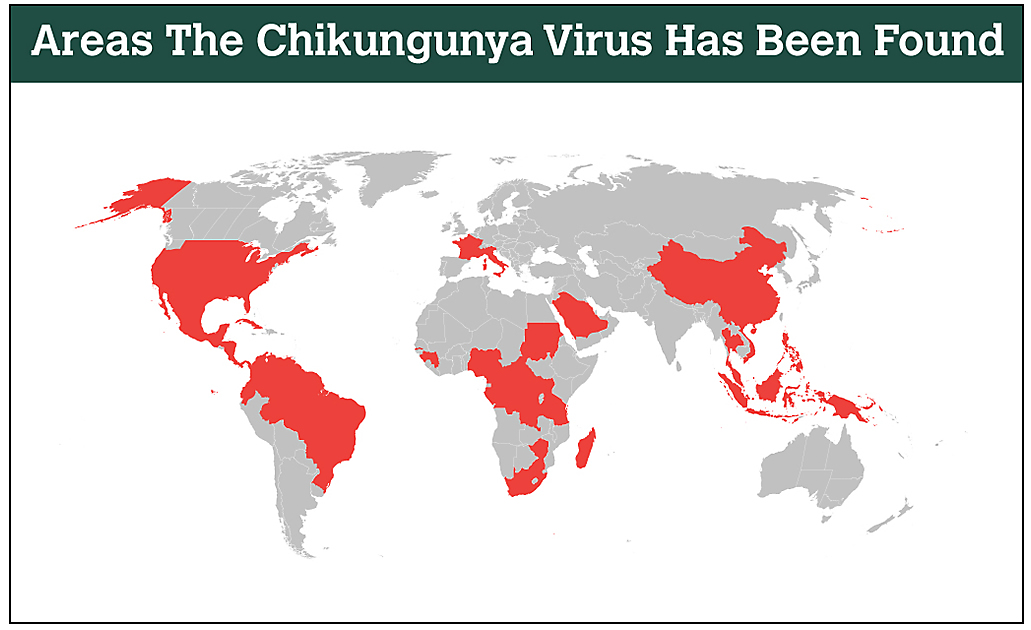 Chikungunya Locations