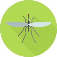 Mosquito Spray Treatment vs. Mosquito Traps