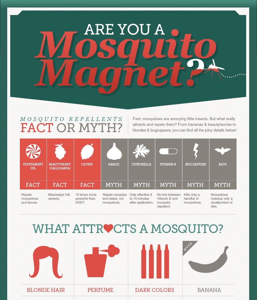 Find the Facts Mosquito Repellents vs. Mosquito Traps