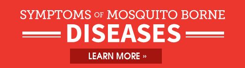 Mosquito Borne Diseases Transmitted Illnesses